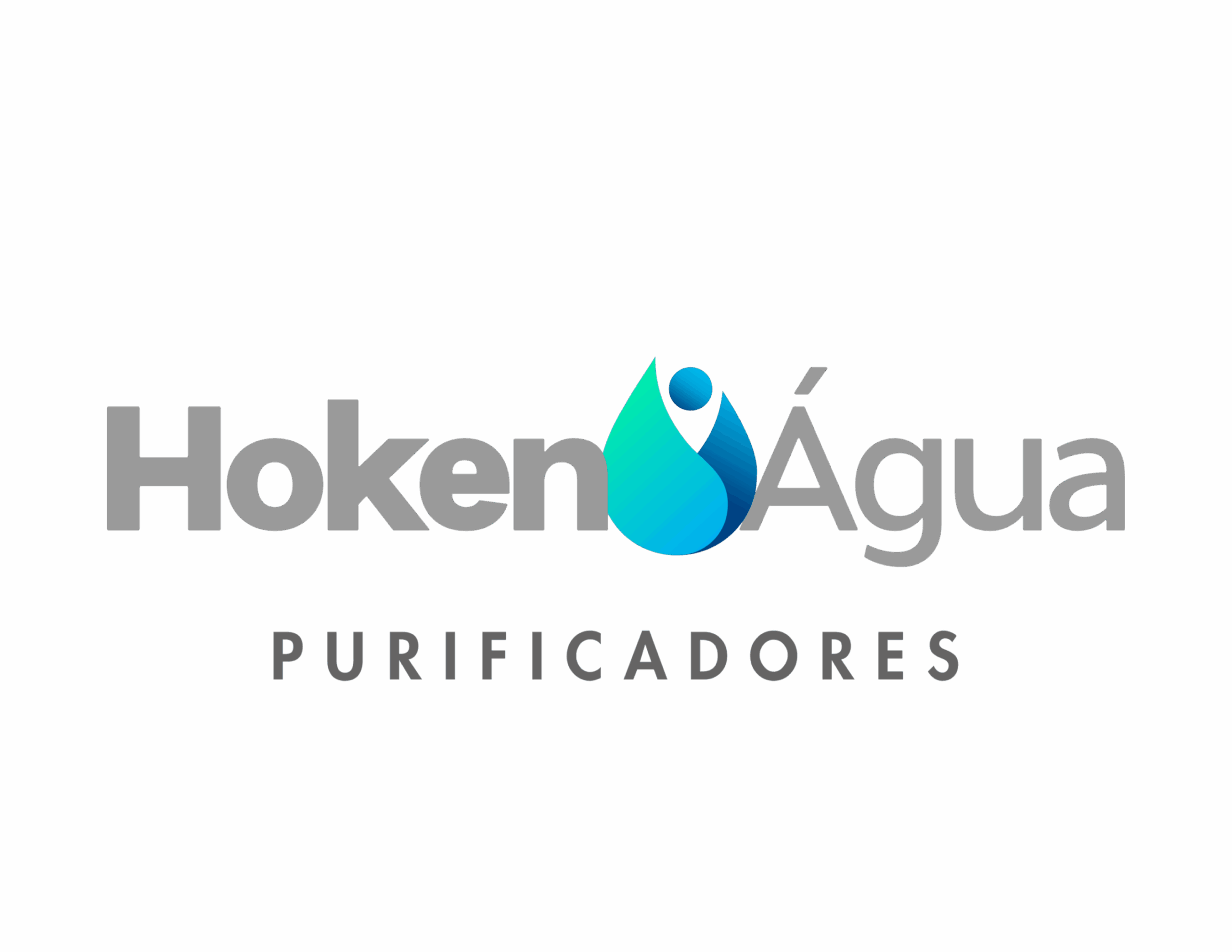 logo-hoken