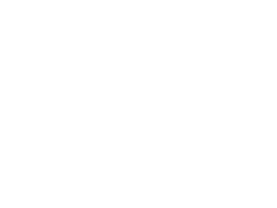 consul